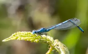 Frustrated by blurry photos? A simple checklist of focus fixes that work in the field and beyond — from common rookie mistakes to settings you may have missed.