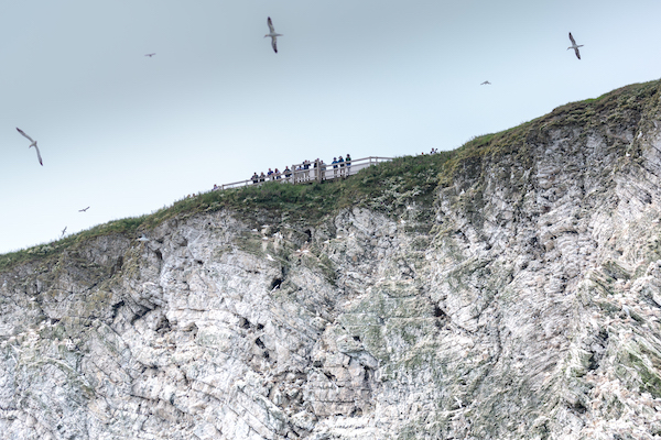 Viewpoint at the top of the cliffs, photographed from the boat out at sea