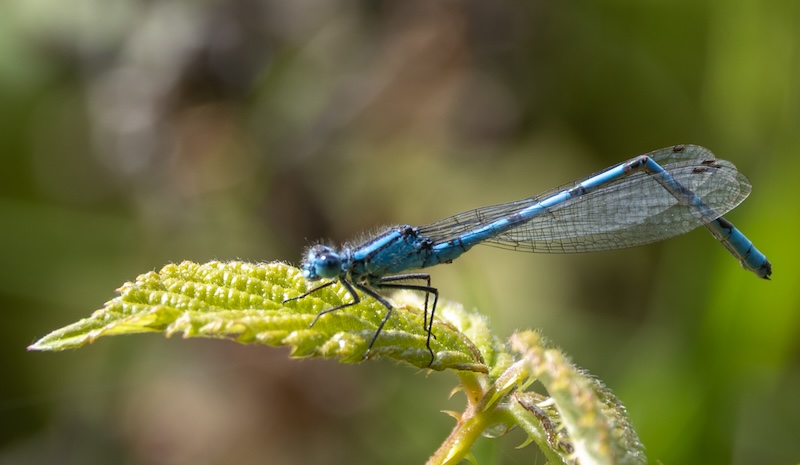 With the switch set correctly I got a sharp photo With the switch set correctly I got a sharp photo