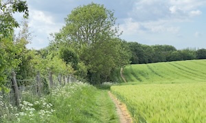Explore all Walks and Locations