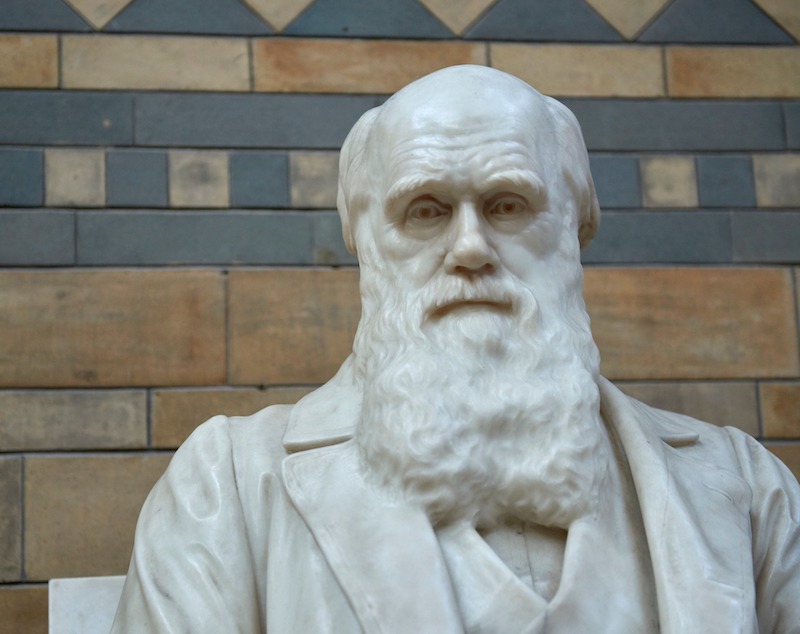 what did Charles Darwin do