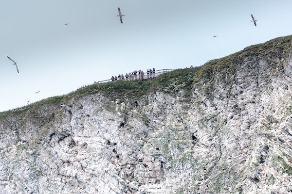 Viewpoint at the top of the cliffs, photographed from the boat out at sea