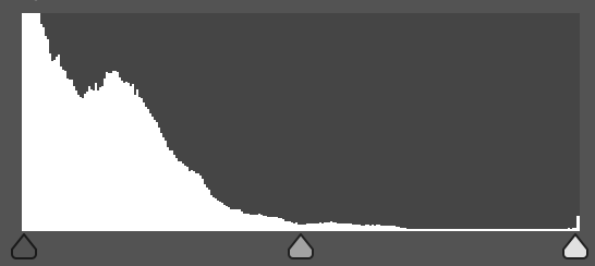 Histogram skewed far left, indicating an underexposed image with clipped shadow detail.