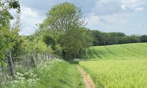 Explore all Walks and Locations