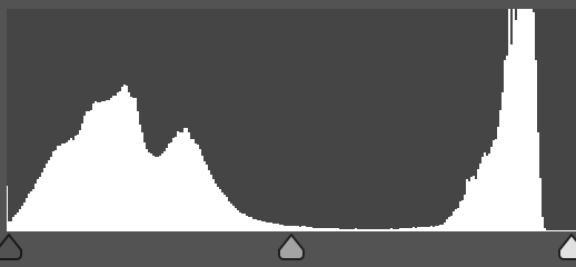 Histogram showing peaks at both shadow and highlight ends ('U' shape), indicating a high contrast scene.