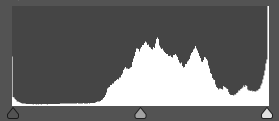 Histogram skewed right indicating many bright tones, typical of high key or backlit scene