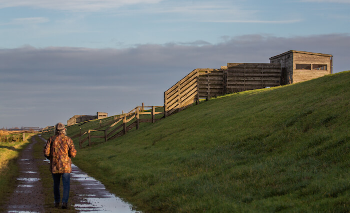 The steps up to one of the bird hides at Ouse Washes