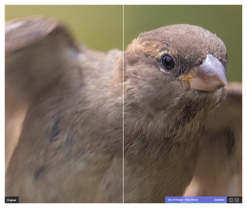 Sharpen AI showing out of focus blur