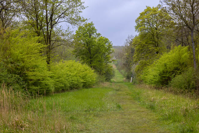 brampton wood view